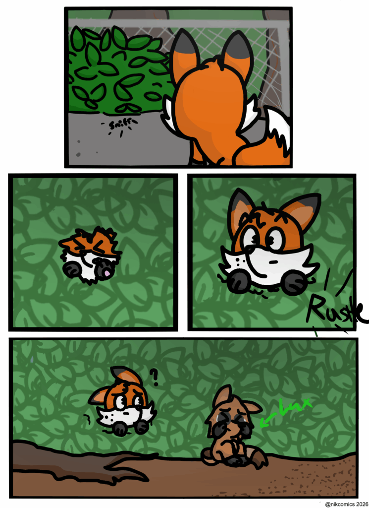 Maxie hears soft wimpering noise as he heads towards the bush. He squeezes his head in between the foliage and finds Lux. A small, stocky brown raccoon with gray eye patches to fit. Who also happens tp be Maxie's best friend at the moment. He is crying as Maxie looks at him confused.